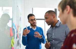 diverse technology professionals