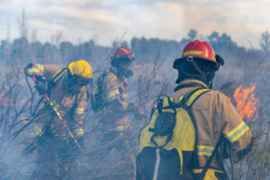 firefighters in field