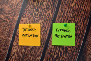 intrinsic vs extrinsic motivation