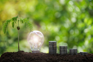 plant, light bulb and coins